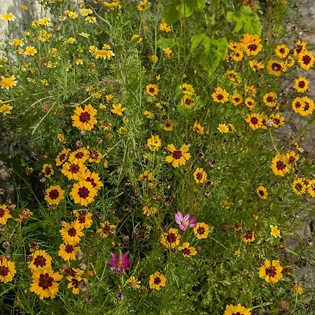 Belle, Piscine Privee, Vue Sur La Campagne بيت للعطل *