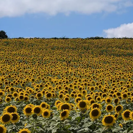 Belle, Piscine Privee, Vue Sur La Campagne بيت للعطل *