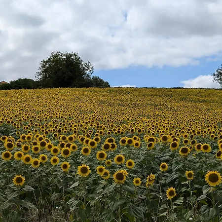 Belle, Piscine Privee, Vue Sur La Campagne * Nonac