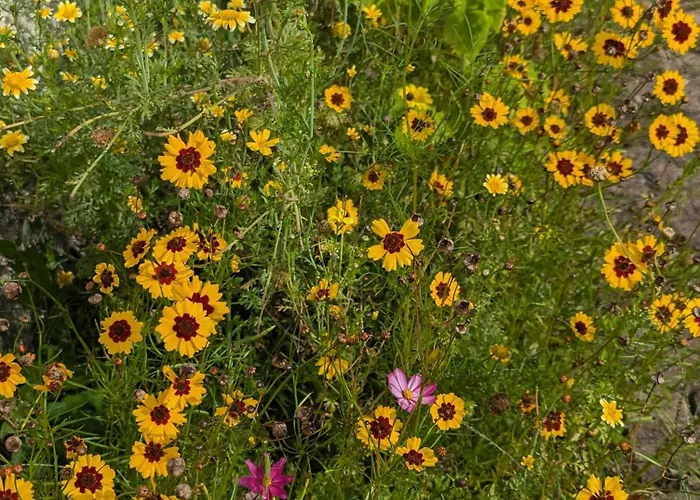 Belle, Piscine Privee, Vue Sur La Campagne בית נופש *