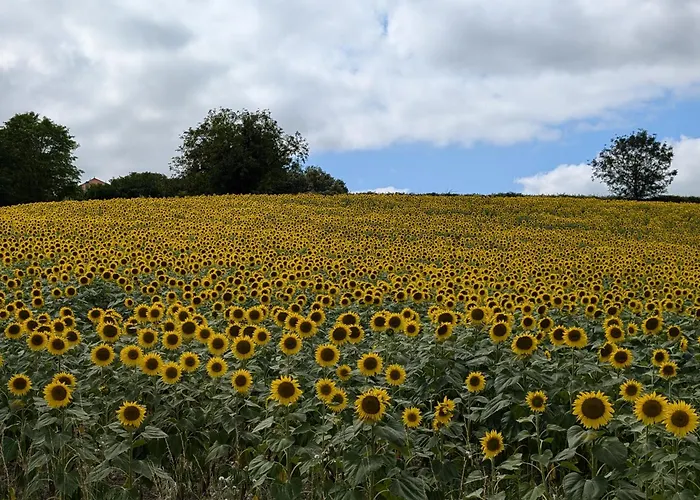 Belle, Piscine Privee, Vue Sur La Campagne * Nonac